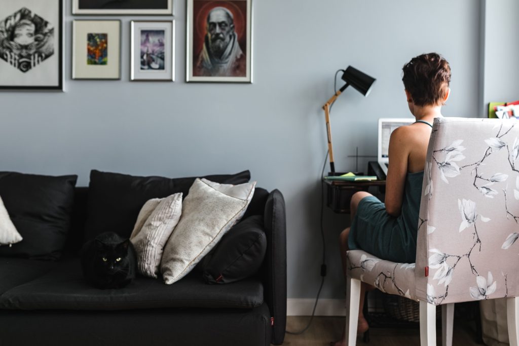 working from home with small desk and cat